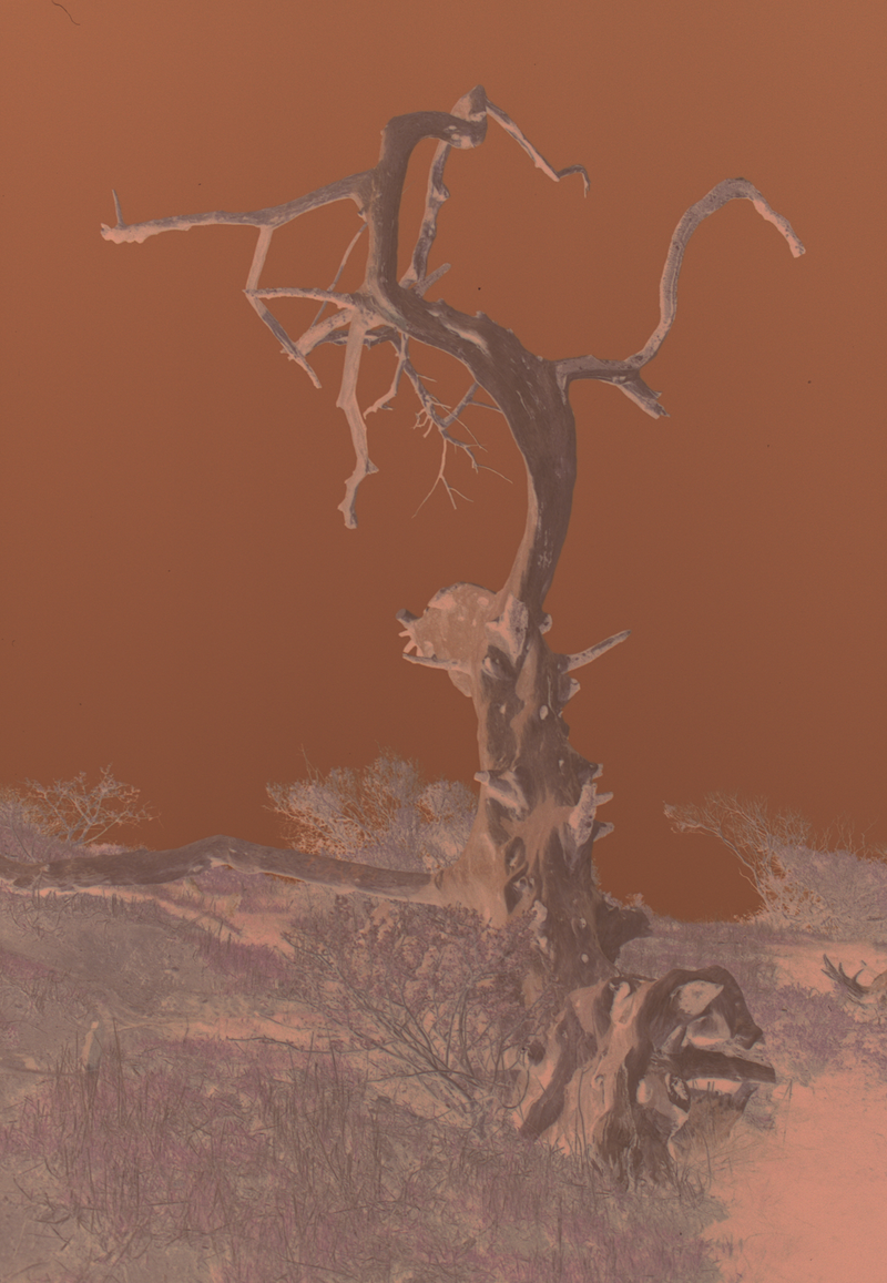 Illustration for article titled Primer: Scanning Film